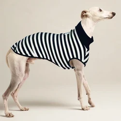 Chaleco elástico rayado para galgo italiano y whippet – verano