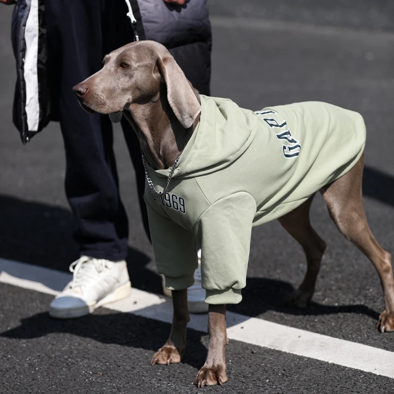 Moda Primavera fuera de perro grande Sudadera con capucha Golden Retriever Labrador trajes verdes disfraz de lujo para perros medianos y grandes - imagen 4