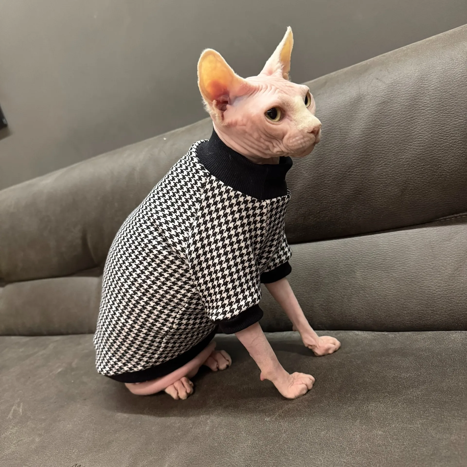 Abrigo de lana a cuadros negro para gato esfinge en invierno, sudadera cálida de otoño de manga corta suave para gatitos, ropa para Devon Rex