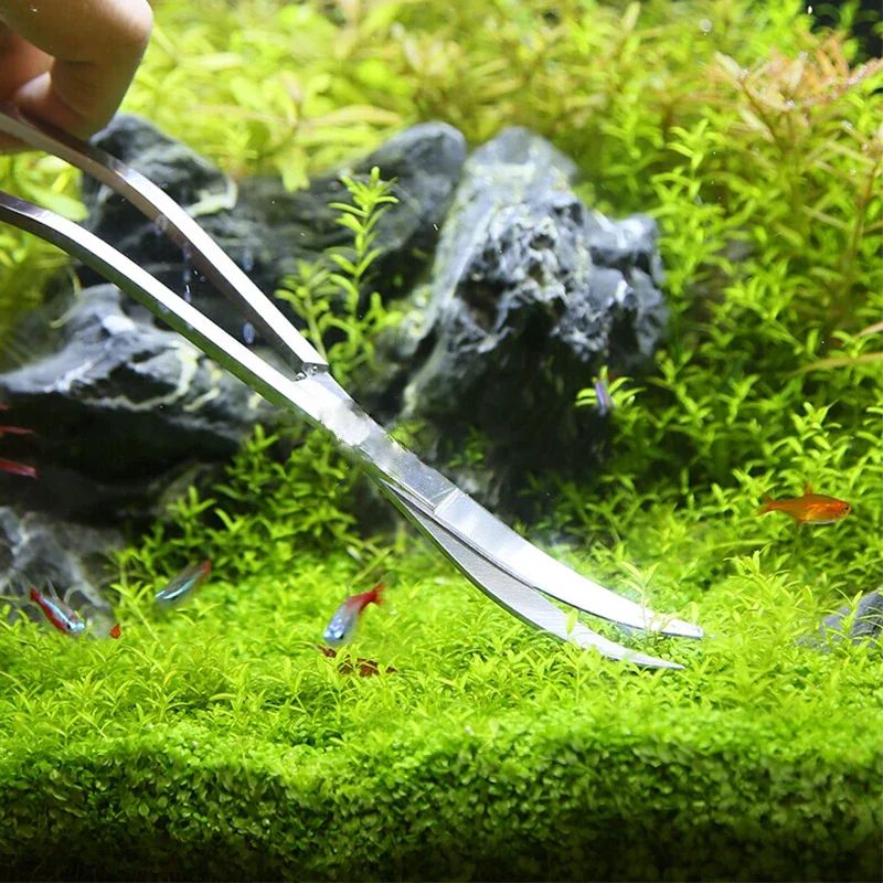 Pinzas de tijera para acuario, herramientas para pecera, plantas, tijeras onduladas, herramientas de limpieza de hierba, soporte de almacenamiento, accesorios para acuario - imagen 5