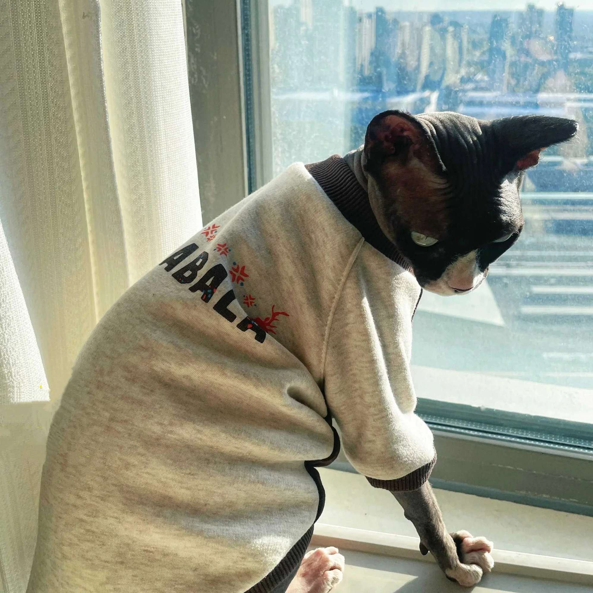Sudadera de lana gris a la moda para gato Sphynx en invierno, abrigo cálido de manga larga para Devon Rex, pijamas elásticos de otoño para gatitos - imagen 3
