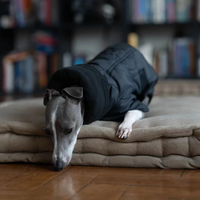Abrigo de algodón con cuello alto de invierno, resistente al viento, impermeable, abrigo cálido para perros, galgo italiano, ropa para mascotas Whippet - imagen 2