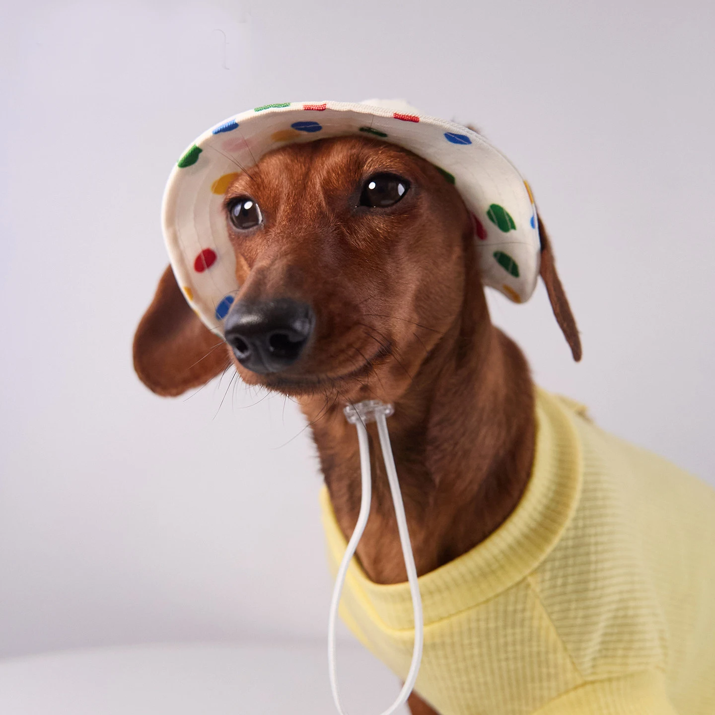 Gorra de verano con protección solar para perros pequeños y medianos