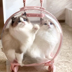 Transportín cápsula transparente para gatos – Transpirable y cómodo