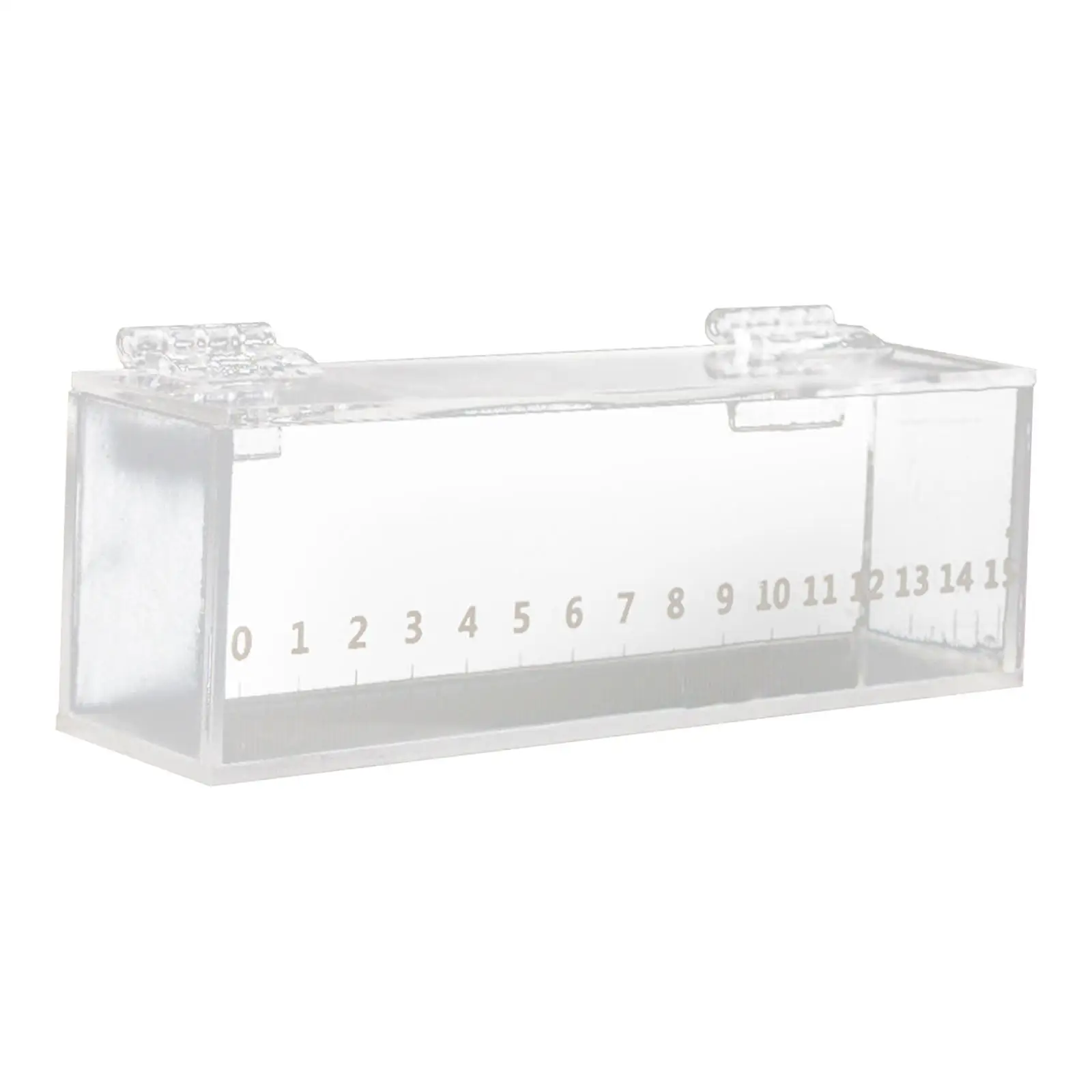 Fish Viewing Box with Scale Fishing Acrylic Isolation Breeder Box Fish Breeding Tanks with Lid