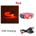 Red USB Charging