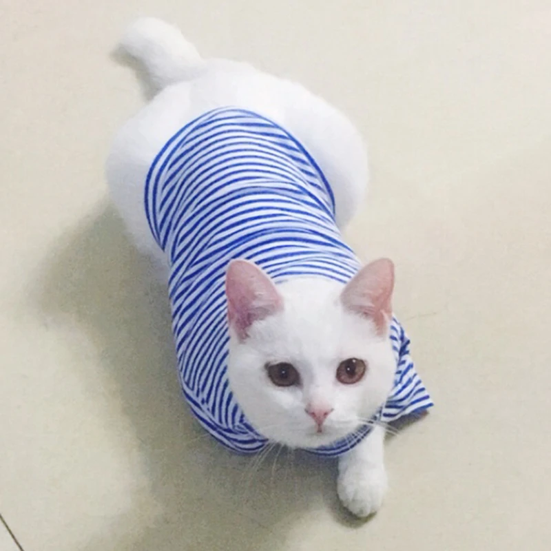 Ropa de primavera y verano para gatos, jerseys de algodón suave para mascotas, camisa para gatos, chaleco a rayas de 4 colores, pijamas, ropa para mascotas - imagen 4