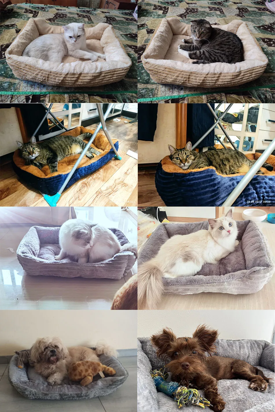 Tabla de tallas para cama de mascotas