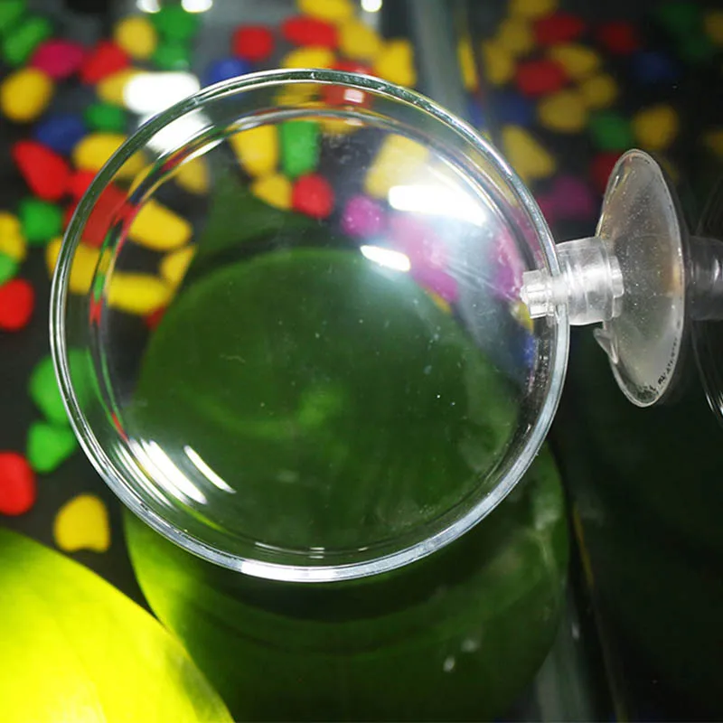Alimentador de peces transparente acrílico con ventosa, platos redondos de comida para acuario, accesorios de alimentación para peces y camarones - imagen 3