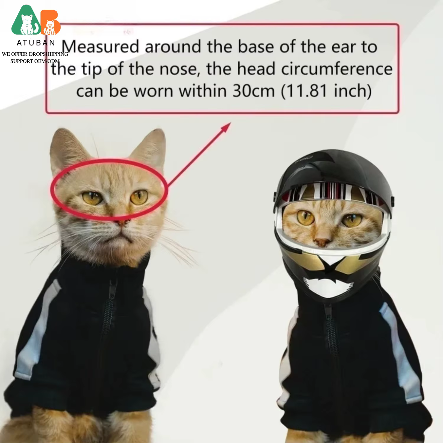 Casco Moto para Perros y Gatos – Accesorio Original - imagen 4