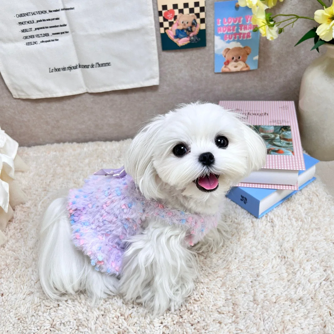 Chaleco tejido de color helado para perros y gatos, vestido con lazo para mascotas de otoño e invierno para perros pequeños (yorkshire/teddy), ropa para cachorros - imagen 4
