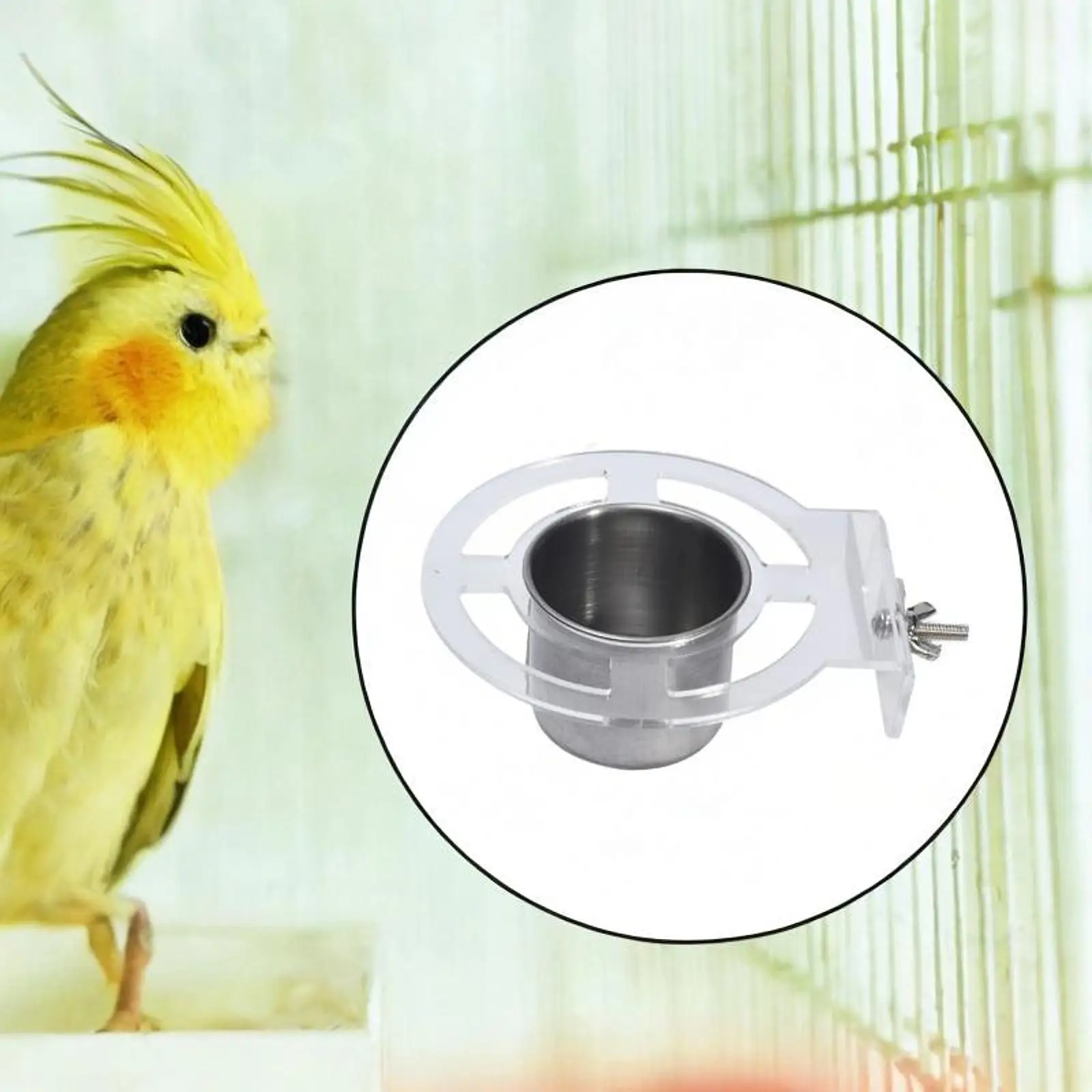 Bird Feeding Dish Cups Stainless Steel for Cockatiel Small Animal Parakeet