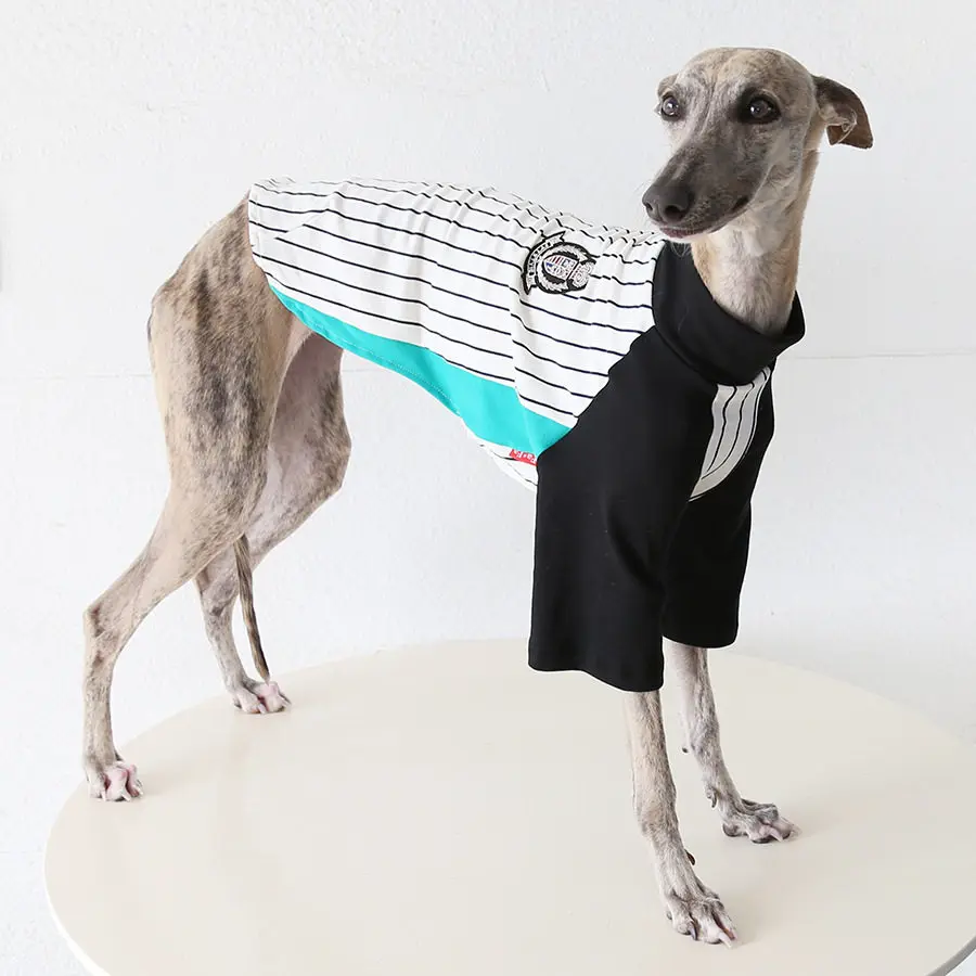 Camiseta algodón manga larga para galgo y whippet – Pijama perro - imagen 5