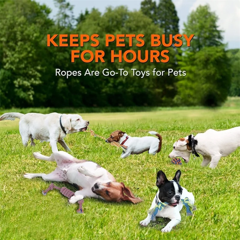 Juguete masticable de cuerda para perro, entrenamiento al aire libre, divertido, juguetes para gatos, perros grandes y pequeños, cuerda trenzada duradera, juguete antiestrés - imagen 3
