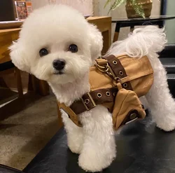 Conjunto arnés y pantalones perro mini caballero británico con bolso