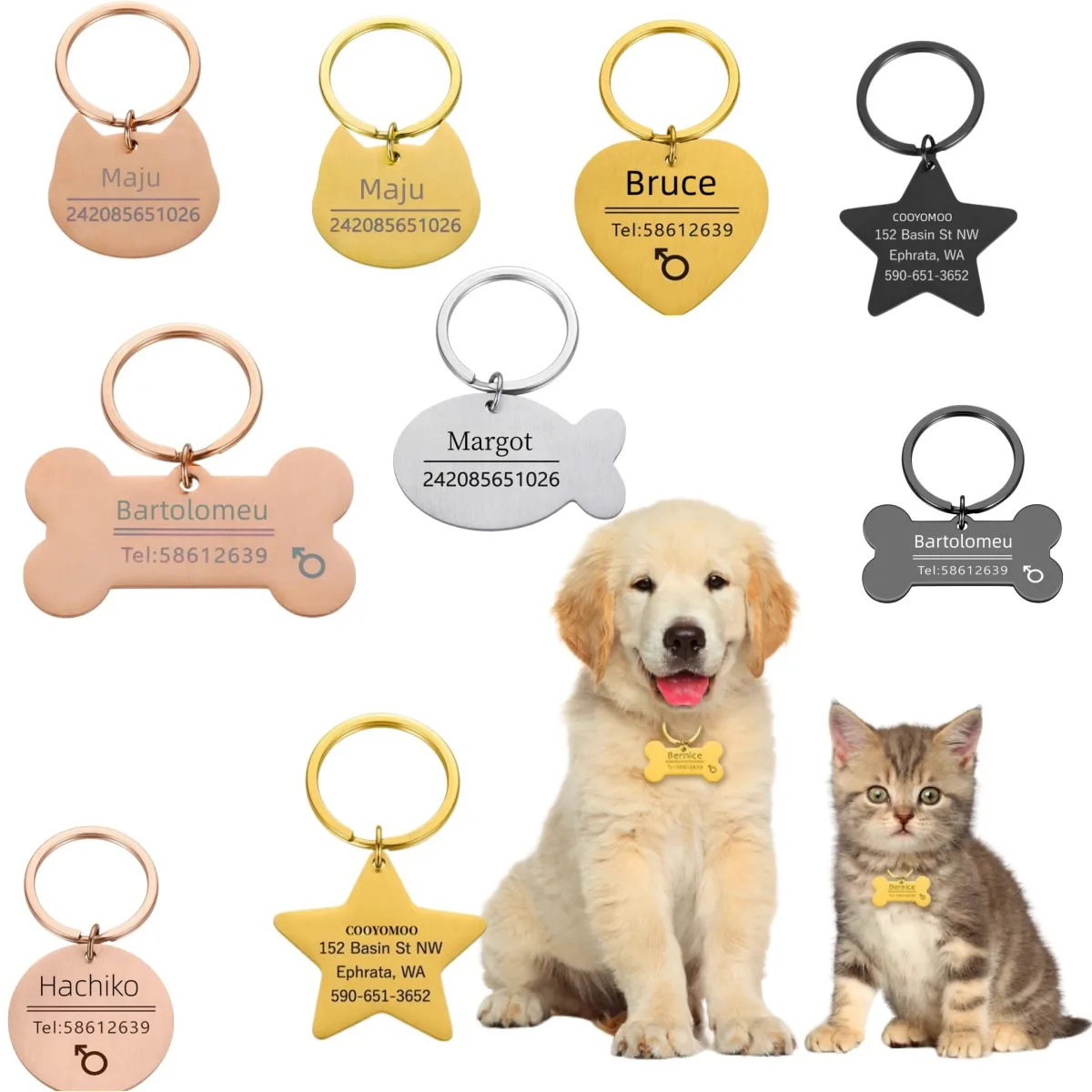 Etiqueta de identificación de mascota para perro y gato grabada personalizada, Collar antipérdida para perros, Collar con grabado de nombre de mascota para cachorros y gatos, accesorios - imagen 3