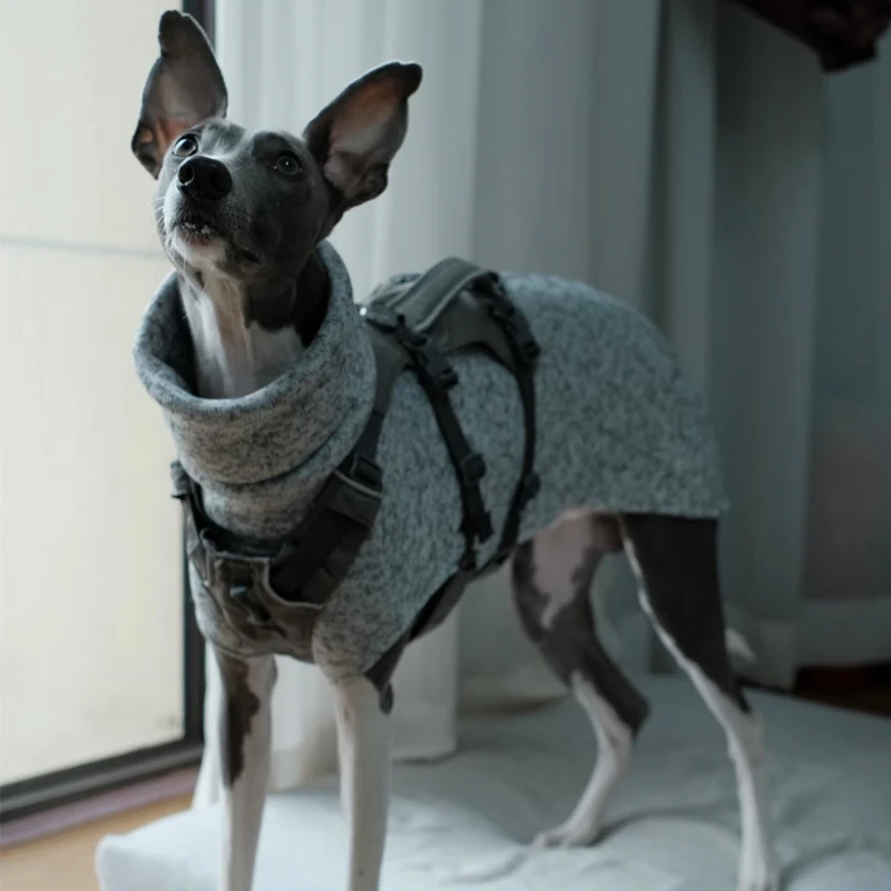 Ropa suave de galgo italiano Whippet, chaleco ligero para perros medianos y grandes, pijamas de cuello alto para mascotas, monos para pastor