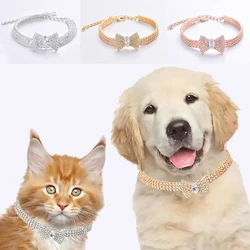 Pajarita con circonio para gato – Collar elegante para perros pequeños