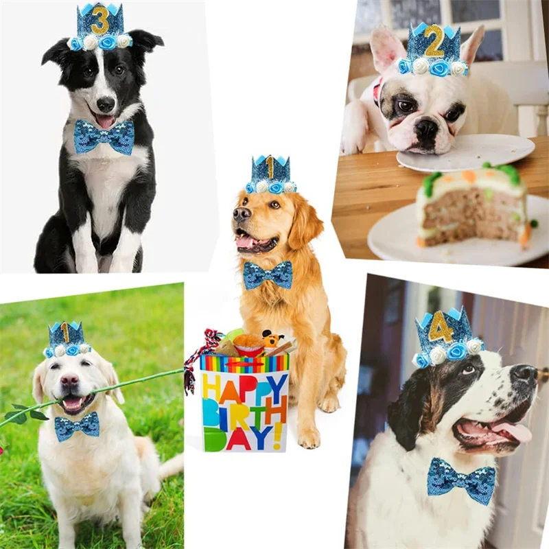 Sombrero de corona para mascotas, sombrero de cumpleaños para perros, corona reutilizable para fiesta de cumpleaños, diadema para gatos, sombreros, regalo para mascotas, accesorios de aseo con puntos de pegamento - imagen 3