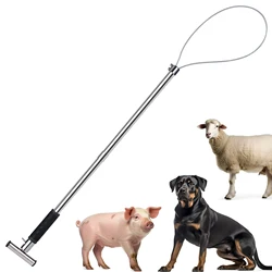 Palo de captura para gatos y perros - acero inoxidable, 33 pulgadas