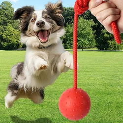 Bola de goma con cuerda, juguete indestructible para morder cachorros