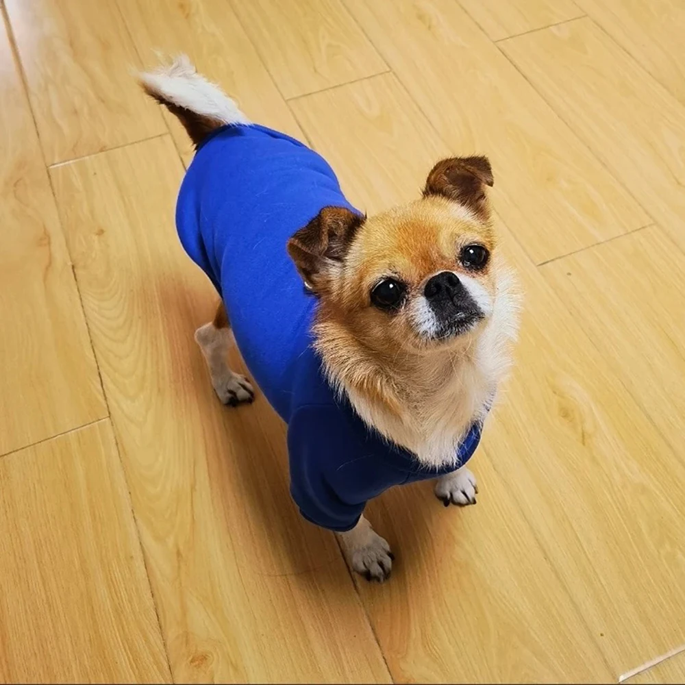 Sudaderas con capucha clásicas para perros Pinscher con hebilla, ropa de lana para mascotas de otoño para perros pequeños, caniche, Chihuahua, suéter para gatos, ropa para mascotas - imagen 5