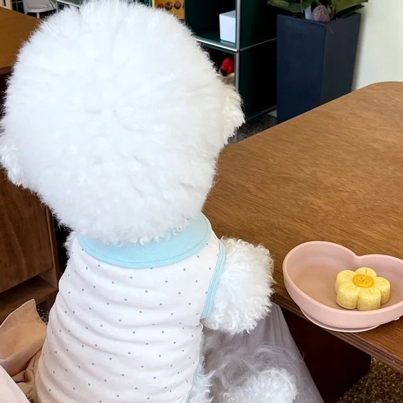 Chaleco de algodón bonito para mascotas de verano, chaleco de encaje de lunares, ropa bonita para mascotas, ropa para perros y gatos, chaleco para perros Yorkshire con oso de peluche