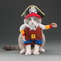 Pirate