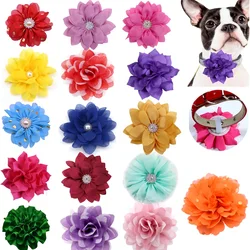 Pack collares decorativos con flores para perros