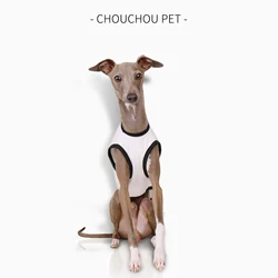 Chaleco antisuciedad Iggy para perro – Algodón transpirable