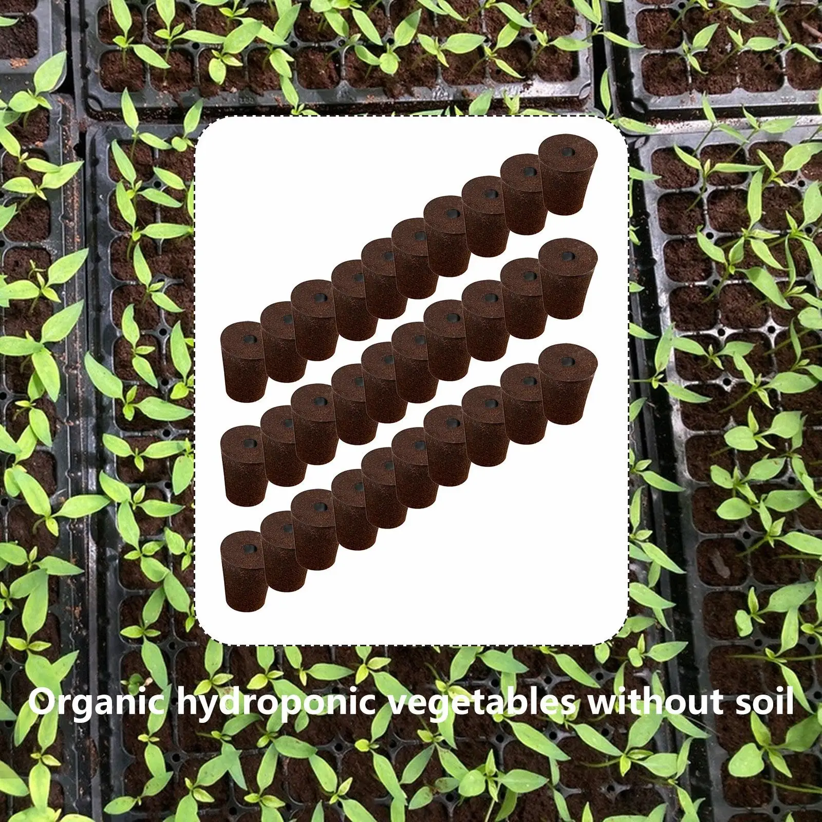 Esponjas de cultivo expandibles, tapones de fibra de coco y torba para iniciación de semillas de jardín hidropónico, plantación sin suelo - imagen 4