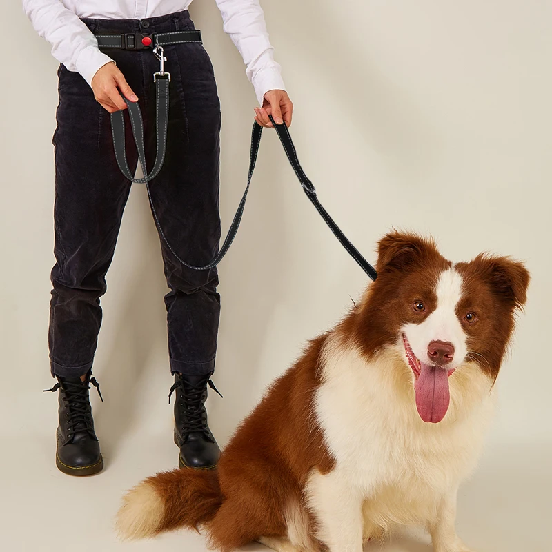 CAWAYI KENNEL-correas de nailon para mascotas, cuerda de tracción con cintura libre, manos libres, cadena a prueba de explosiones para perros grandes - imagen 3