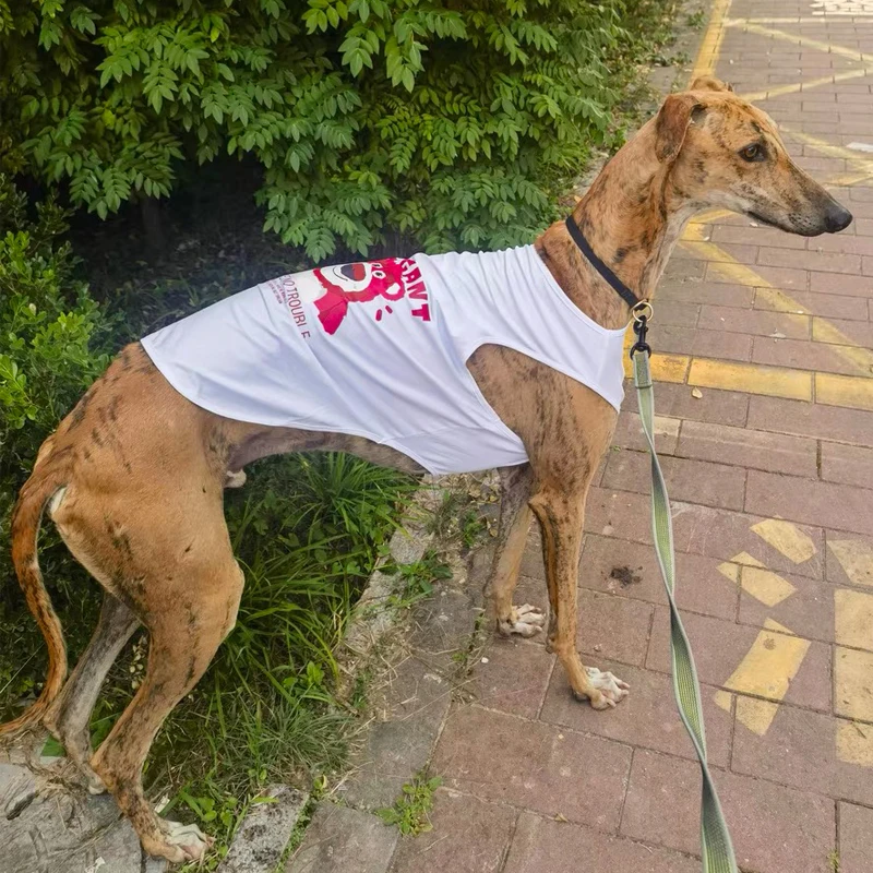 Chaleco refrescante de verano para perro Whipbit, ropa sin mangas, abrigo suave elástico para pijamas de verano Bedlington Greyhound