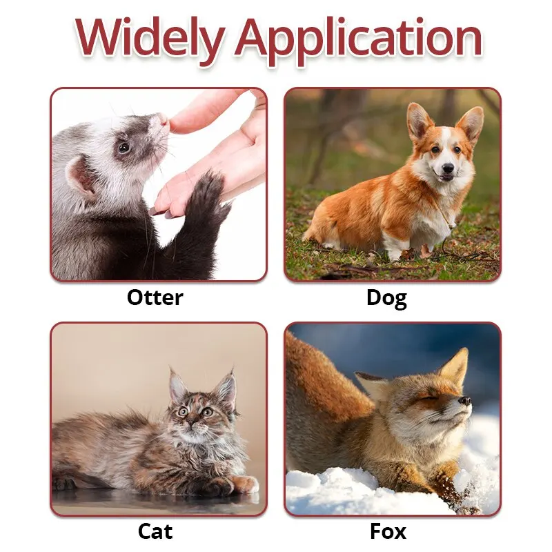 Juguete interactivo de dentición para gato, palo de patada para gatito, juguete para masticar, hierba gatera - imagen 4