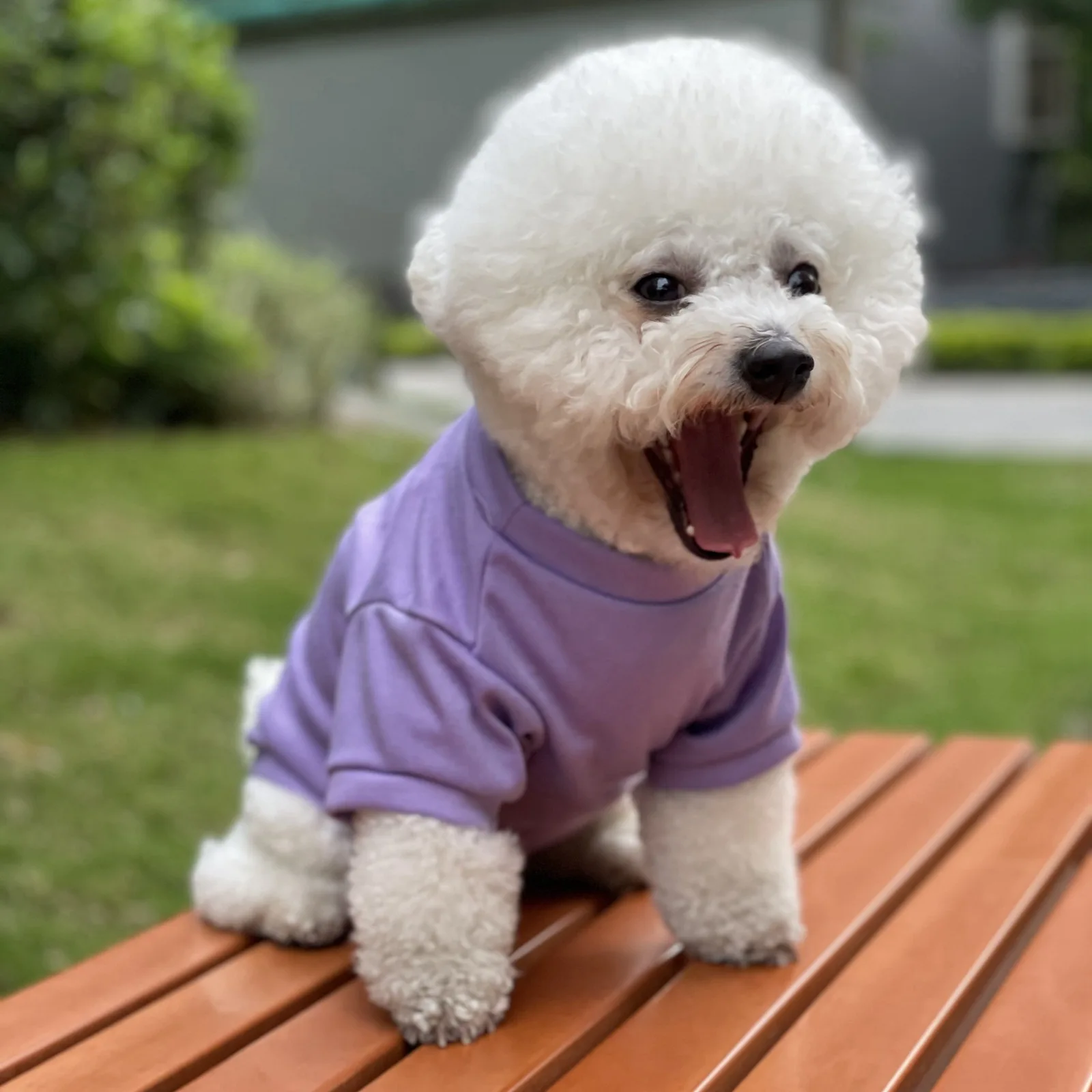 Camiseta con estampado bonito para mascotas, ropa para perros y gatos, chaleco de algodón, ropa para Pug, disfraces para perros pequeños - imagen 4