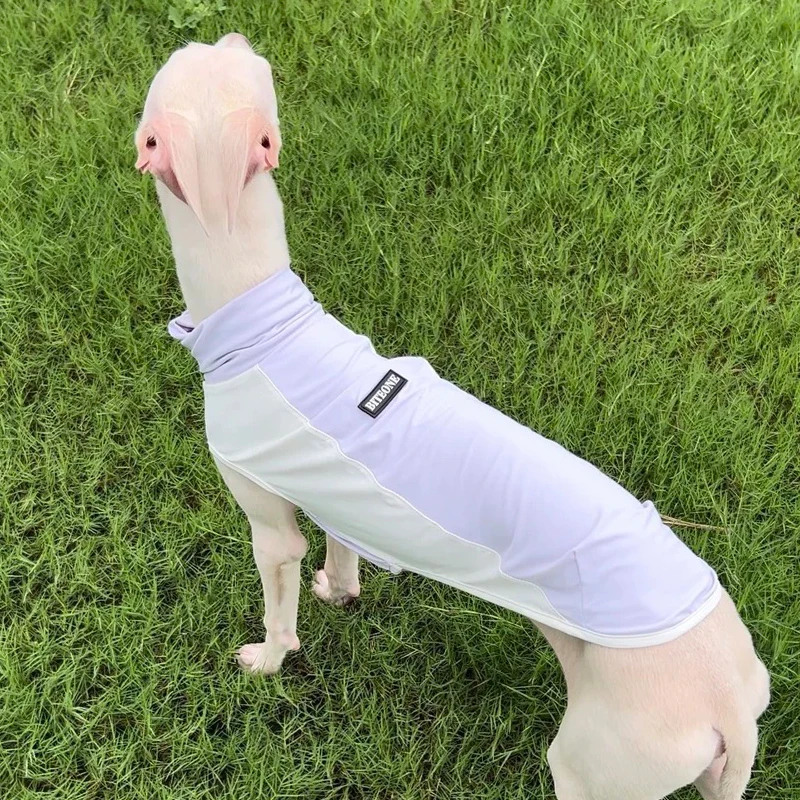 Mono de galgo italiano UPF50 +, ropa refrescante para perros a prueba de sol, primavera y verano, para perros pequeños Whipbit Terrier