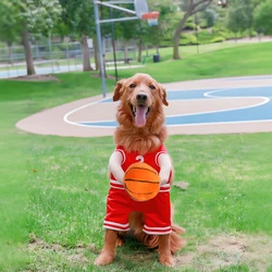 Disfraz de Halloween baloncesto para perros y gatos