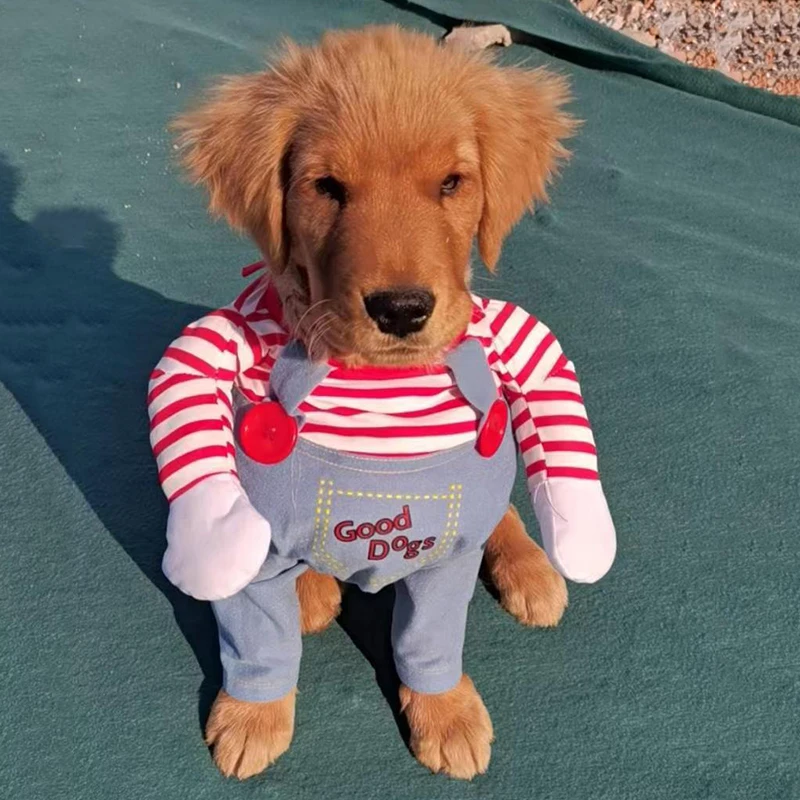 Ropa de Halloween para perros pequeños y medianos, disfraz divertido para fiesta, disfraz de cachorro, novedad, Chihuahua, Yorkshire, Pug, ropa para mascotas - imagen 2