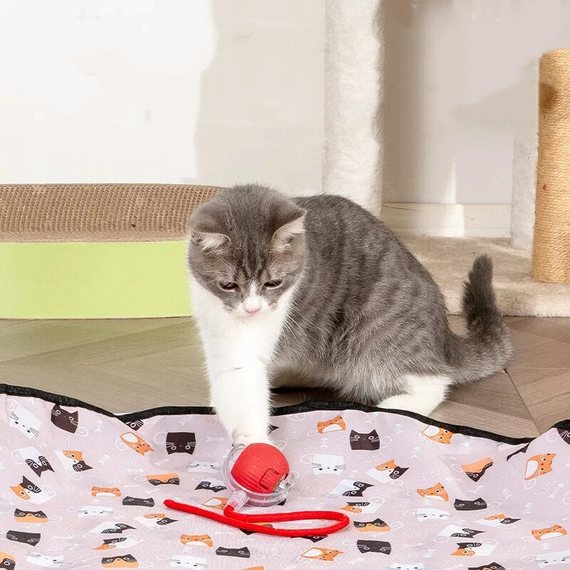 Juguete bola inteligente para perros y gatos – estimula caza - imagen 5