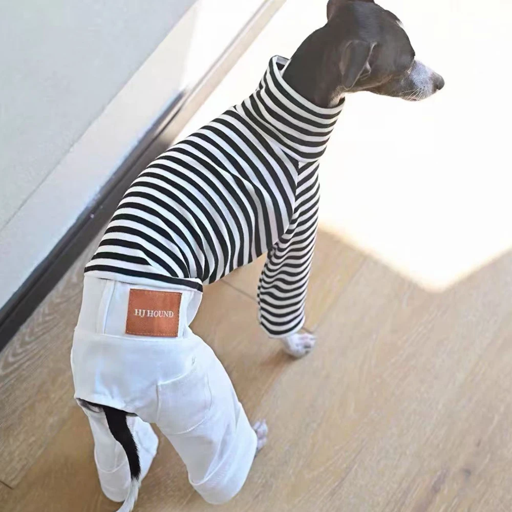 Ropa a rayas de moda para perros Whippet, mono de algodón de una pieza, camiseta, pantalones para galgo italiano Bedlington - imagen 2