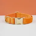 Dog collar41