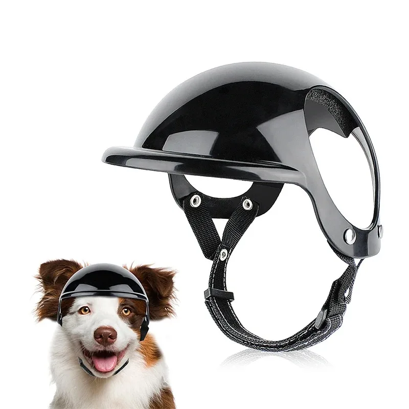 Casco para mascotas con gafas de sol - para perros y gatos
