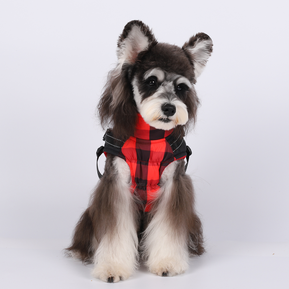 Ropa cálida - Sistema de ropa