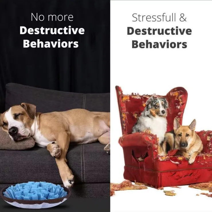 O1CN01piZbCc1q0MlR2iktp_!!2217