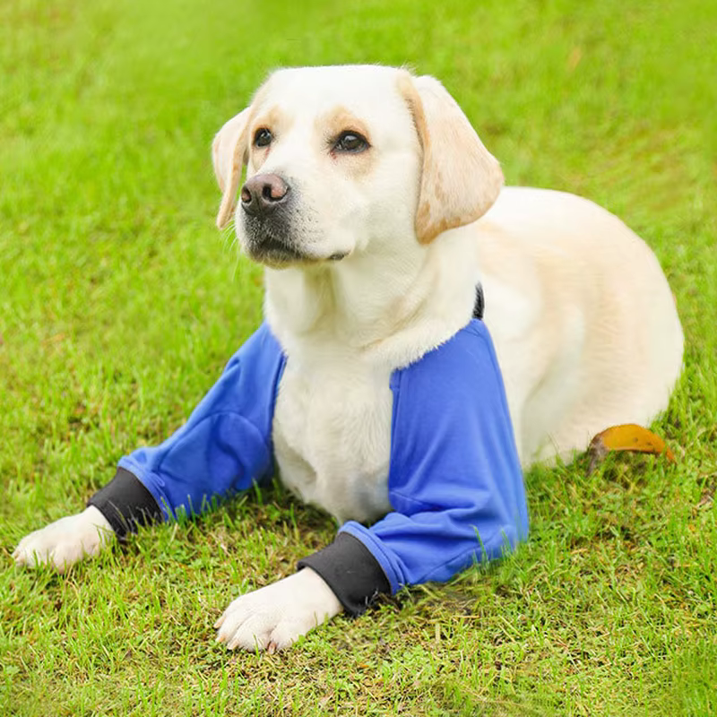 Rodilleras ajustables transpirables para perros medianos y grandes - imagen 4