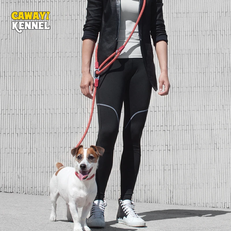Correa running con perros – Reflectante, manos libres - imagen 2