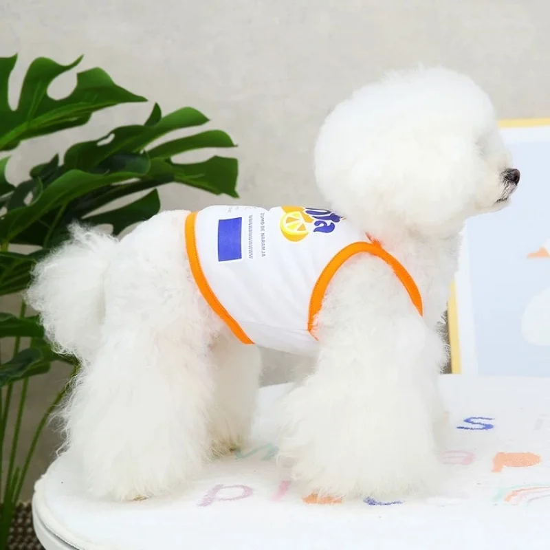 Chaleco suave para Chihuahuas y perros pequeños – Ropa de primavera con estampado - imagen 2