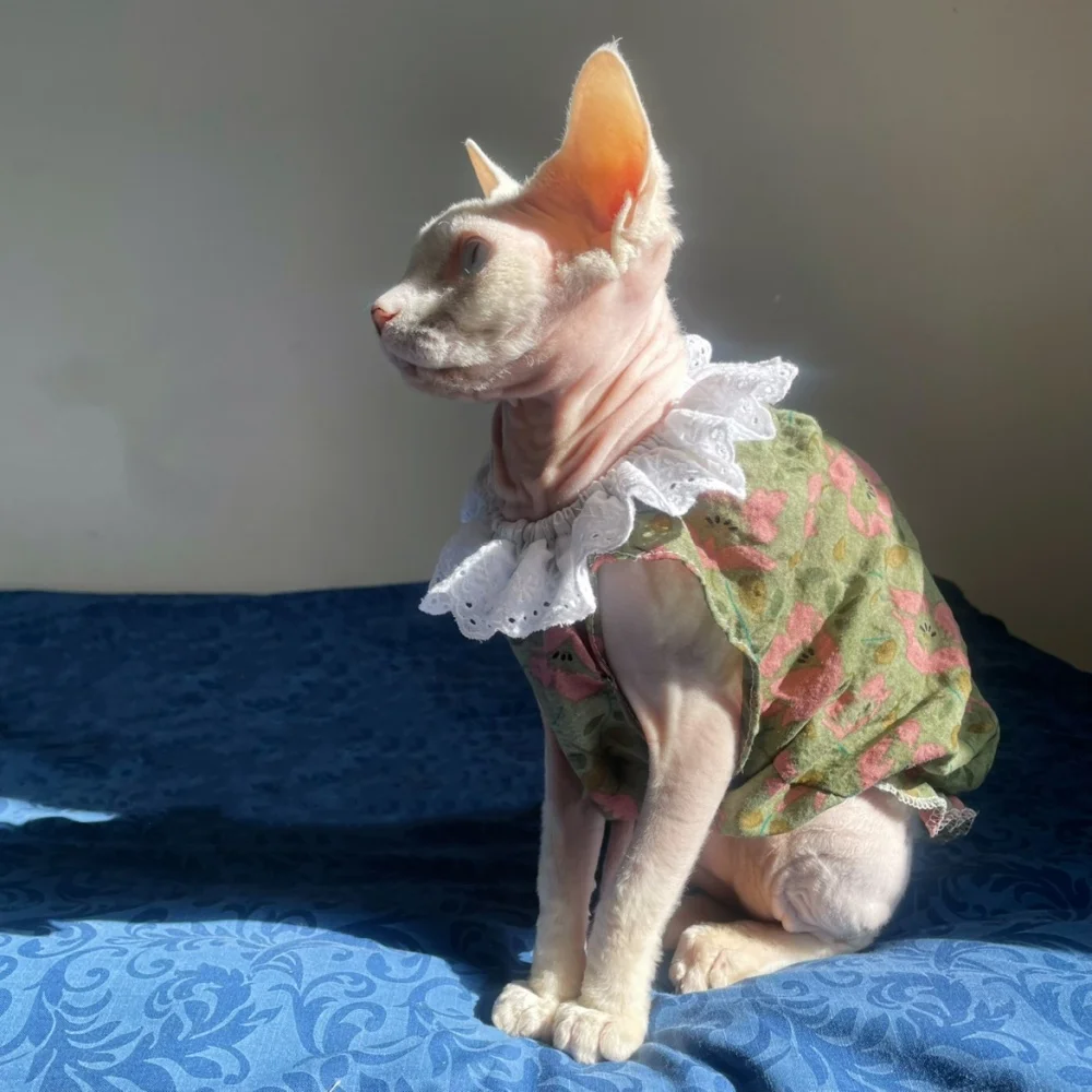 Falda de algodón Floral con cuello de encaje verde dulce de verano para vestido sin mangas de gato Sphynx para Devon Rex camisa transpirable para gatitos - imagen 2