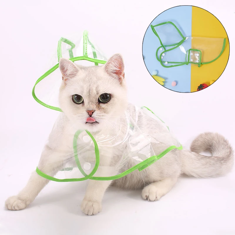 Chubasquero Impermeable Gatos