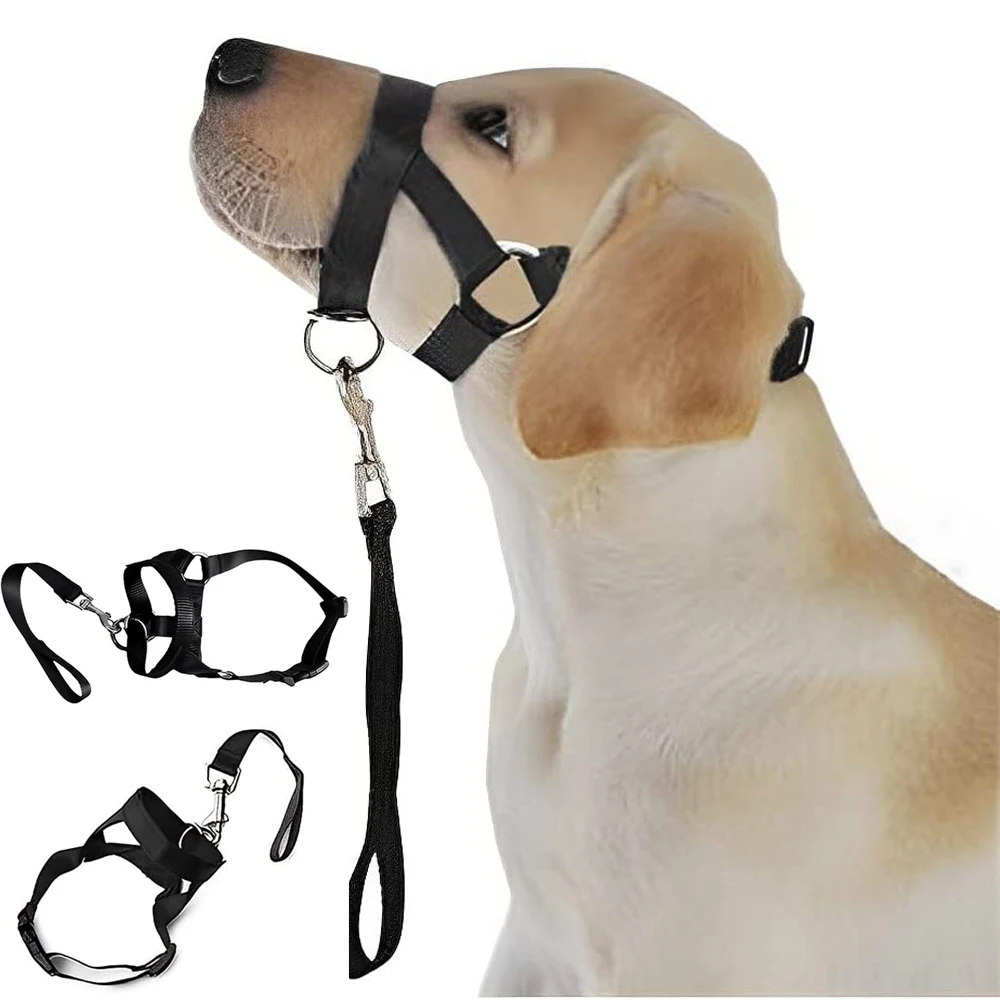 Bozal de nailon para perros pequeños, medianos y grandes, ajustable, antiladridos, controlar el líder de mascotas, Collar de cabeza de perro, correa Halter - imagen 2